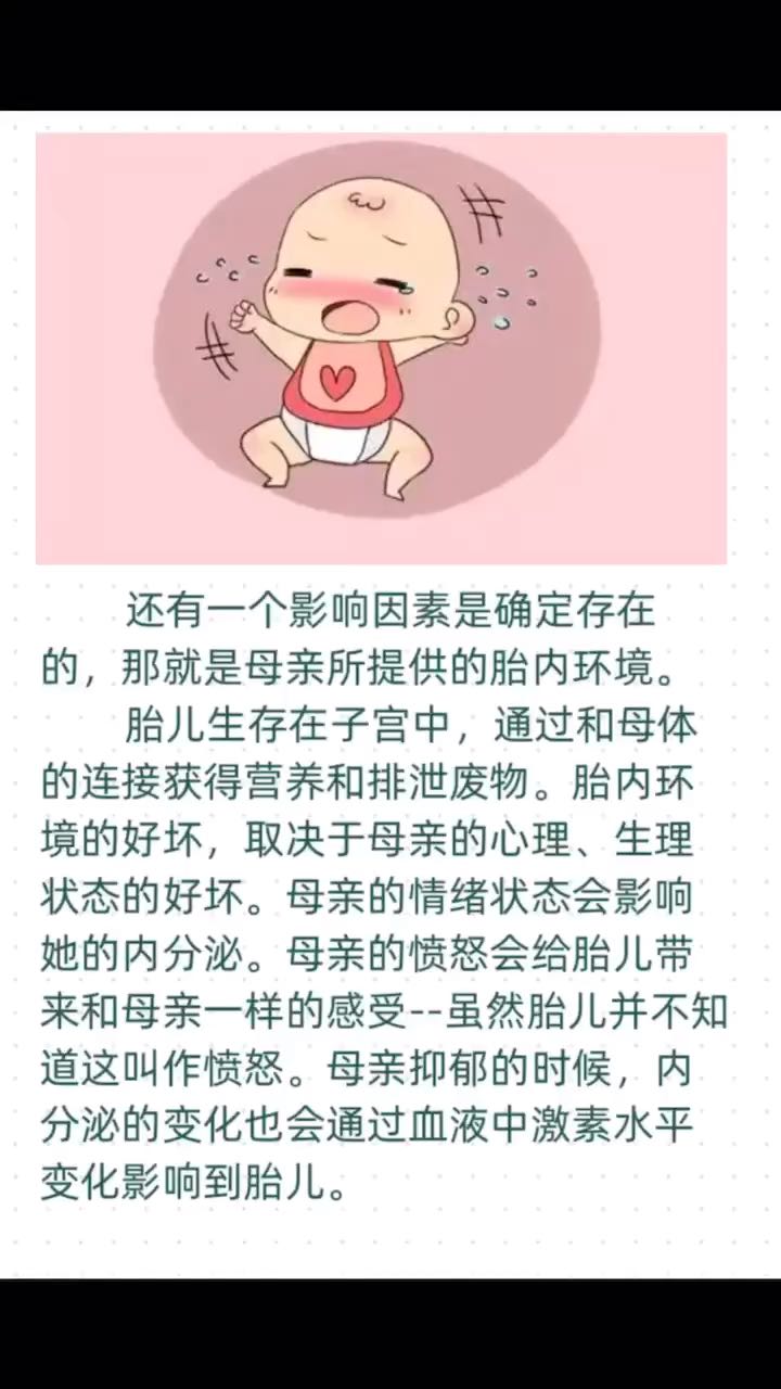 母亲提供的胎内环境影响着胎儿的情绪